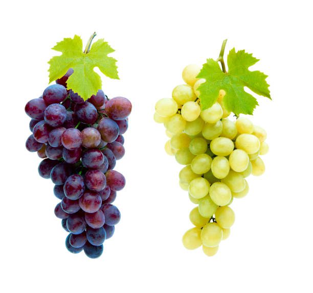 Grapes Glycemic Index For Diabetes
