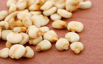 What Is Glycemic Index Of Hominy?