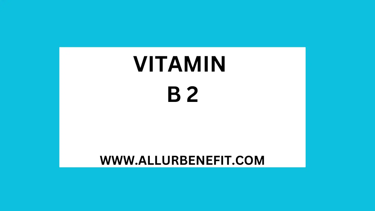 Vitamin B2 Information