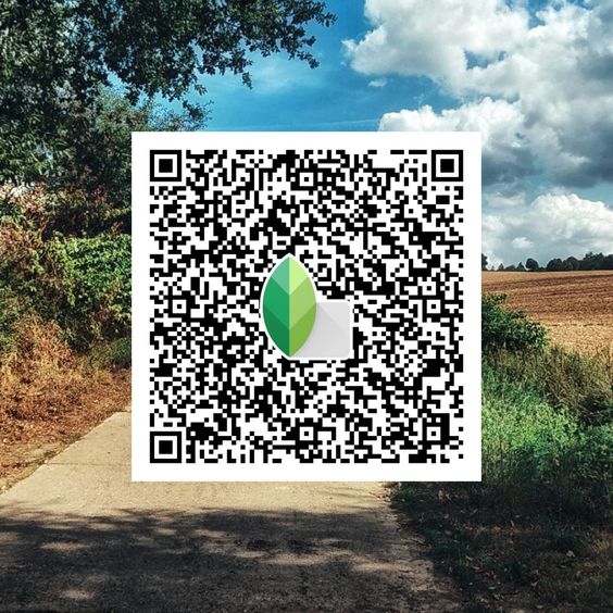 Best Snapseed QR Codes 2024