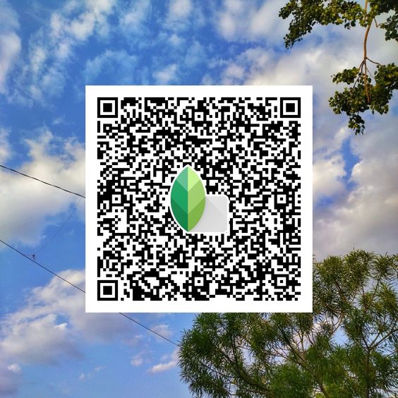 Best Snapseed QR Codes 2024