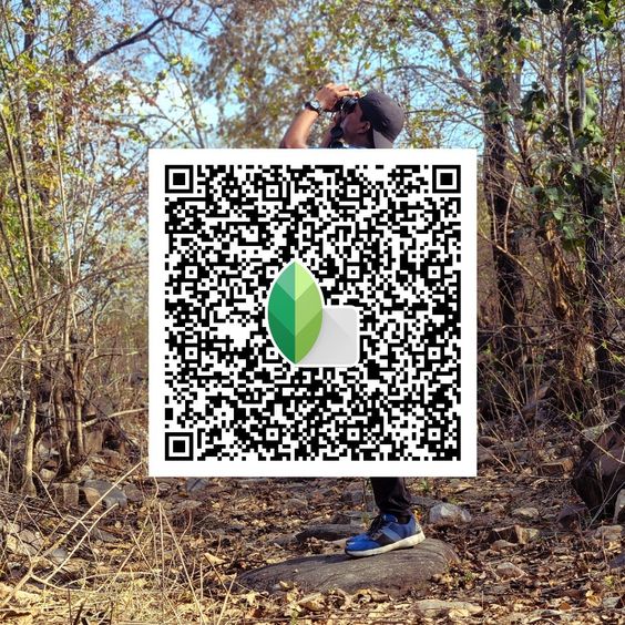 Best Snapseed QR Codes 2024