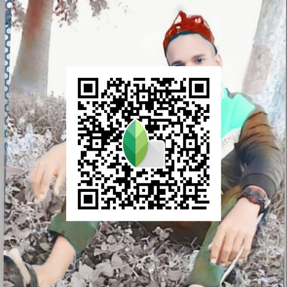 Best Snapseed QR Codes 2024