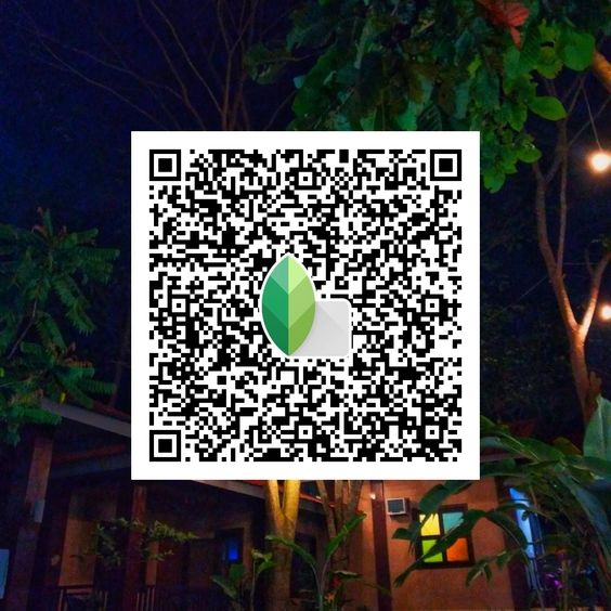 Best Snapseed QR Codes 2024