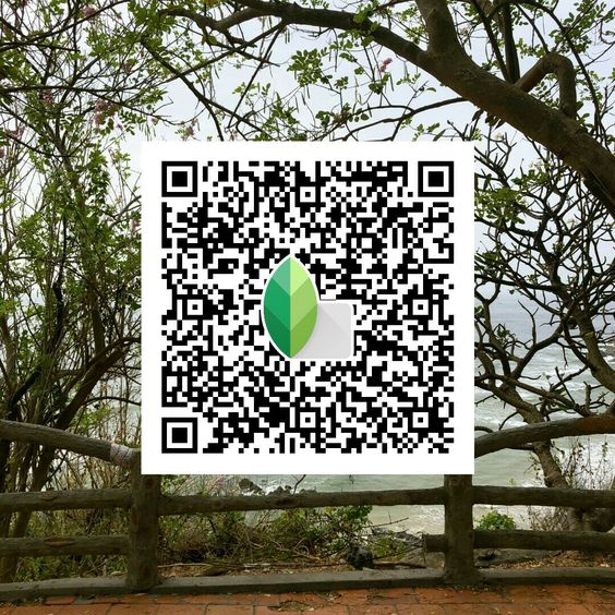 Best Snapseed QR Codes 2024