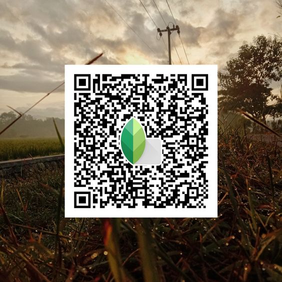 Best Snapseed QR Codes 2024