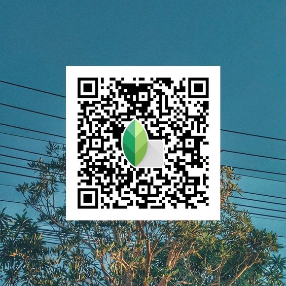 Best Snapseed QR Codes 2024