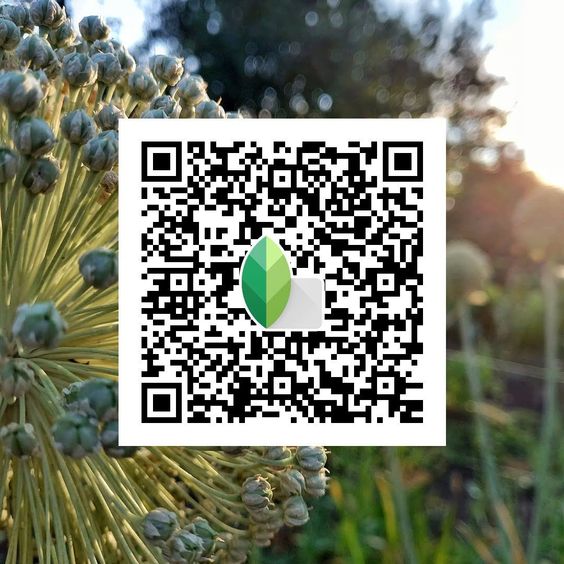 Best Snapseed QR Codes 2024