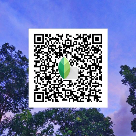 Best Snapseed QR Codes 2024