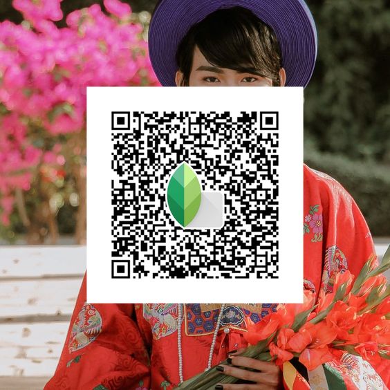 Best Snapseed QR Codes 2024