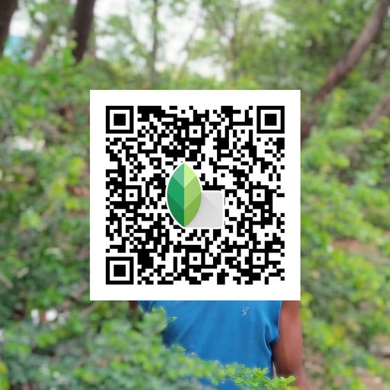 Best Snapseed QR Codes 2024