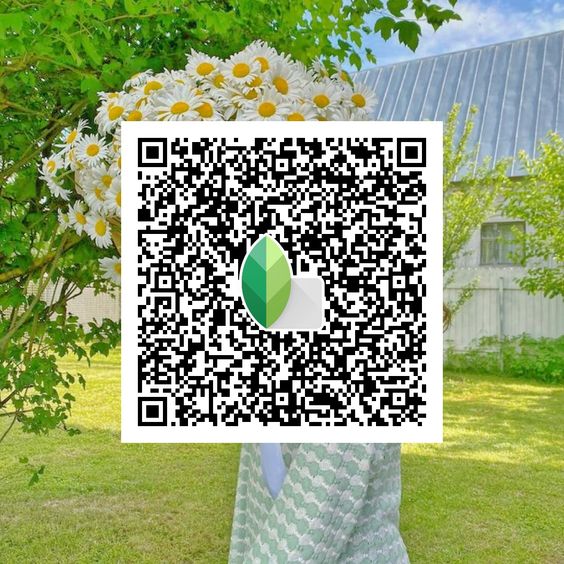 Best Snapseed QR Codes 2024