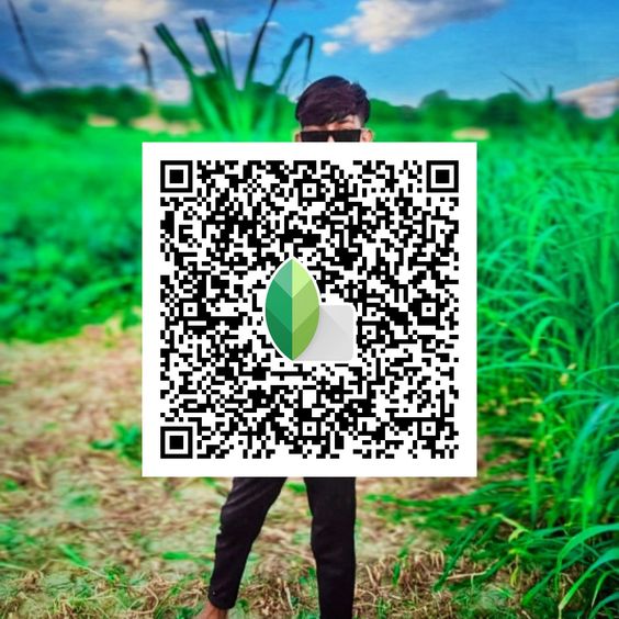 Best Snapseed QR Codes 2024