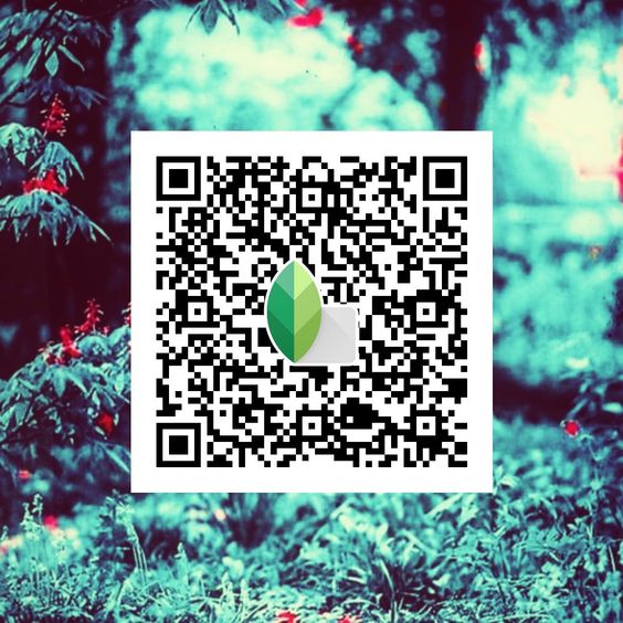 Best Snapseed QR Codes 2024