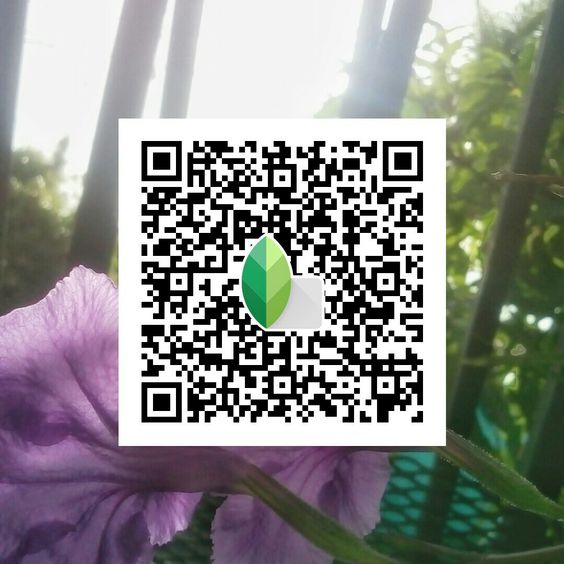 Best Snapseed QR Codes 2024