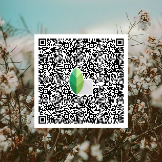 Best Snapseed QR Codes 2024