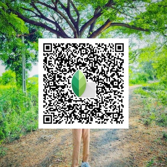 Best Snapseed QR Codes 2024