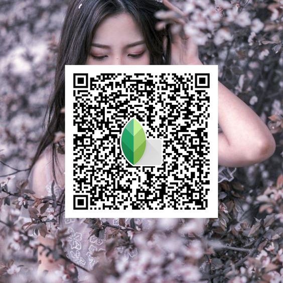 Best Snapseed QR Codes 2024