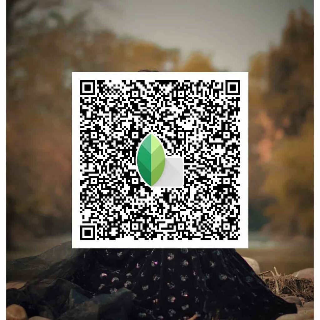 Best Snapseed QR Codes 2024