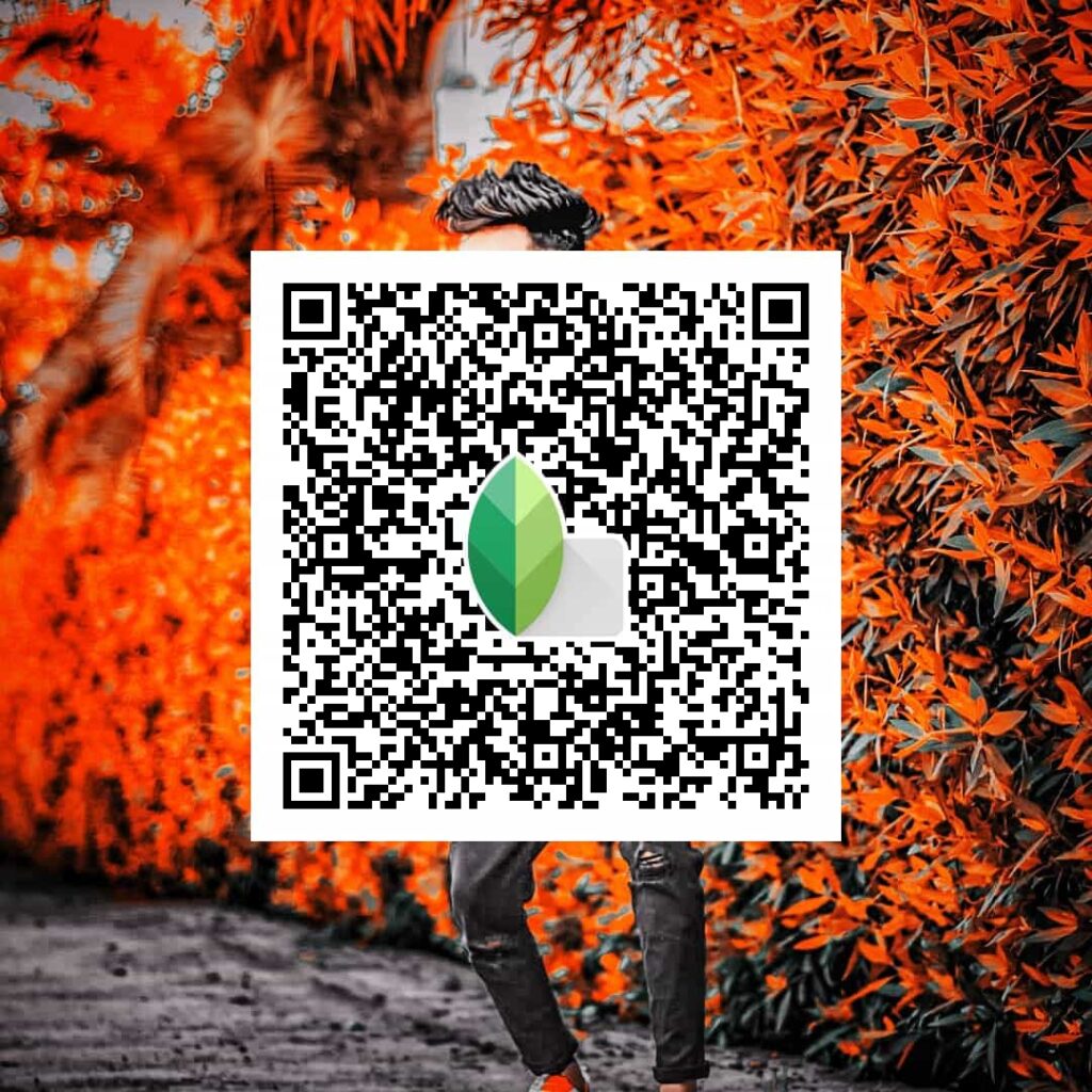 Best Snapseed QR Codes 2024